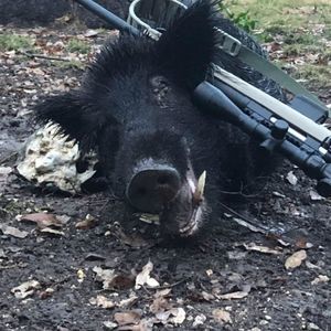 Meet your Posher, Kevin